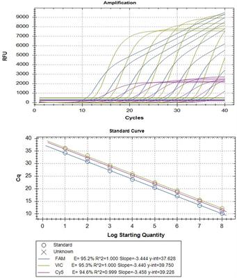 Development of a TaqMan-based multiplex real-time PCR for simultaneous detection of porcine epidemic diarrhea virus, Brachyspira hyodysenteriae, and Lawsonia intracellularis